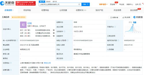 蚂蚁集团上海新设企管咨询公司，信息系统集成服务成亮点