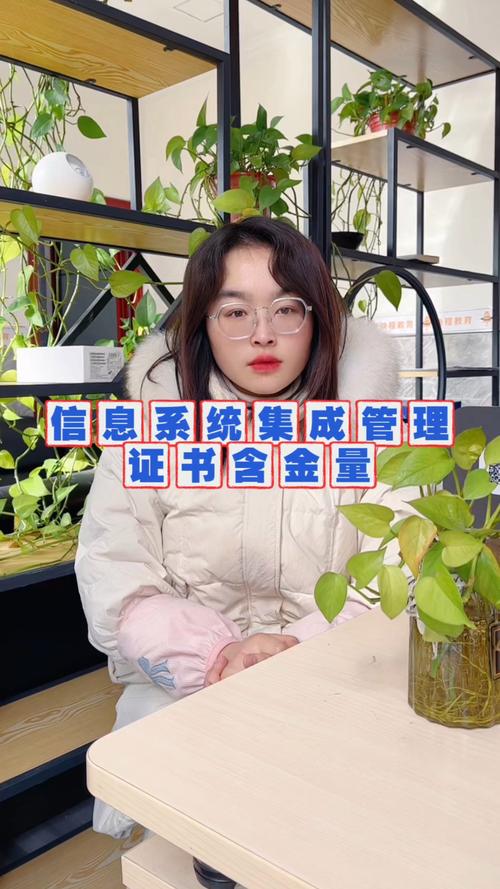 信息系统集成管理证书含金量全解析 信息系统集成服务的职业通行证